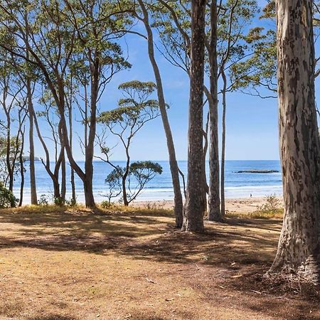 Denhams Beach Waterfront Villa Surf Beach Exterior photo