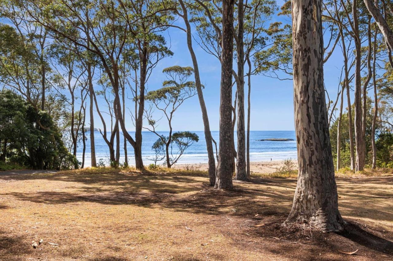 Denhams Beach Waterfront Villa Surf Beach Exterior photo